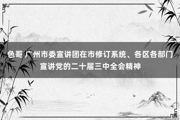 色哥 广州市委宣讲团在市修订系统、各区各部门宣讲党的二十届三中全会精神