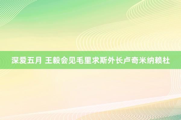 深爱五月 王毅会见毛里求斯外长卢奇米纳赖杜