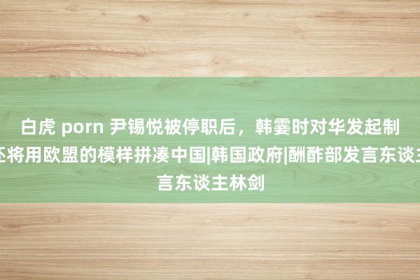 白虎 porn 尹锡悦被停职后，韩霎时对华发起制裁，还将用欧盟的模样拼凑中国|韩国政府|酬酢部发言东谈主林剑